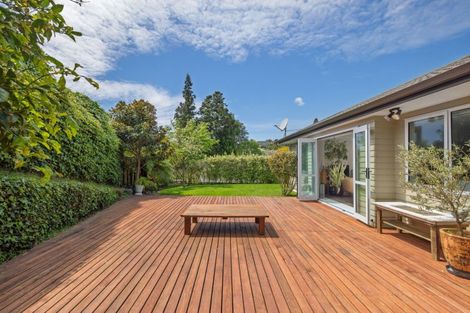 Photo of property in 22 Mcfetridge Lane, Ohauiti, Tauranga, 3112
