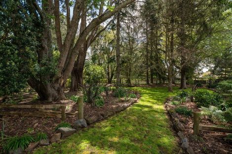 Photo of property in 41a Cranmere Drive, Tamahere, Hamilton, 3283