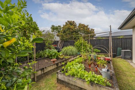 Photo of property in 18 Captain Wood Avenue, Whitianga, 3510