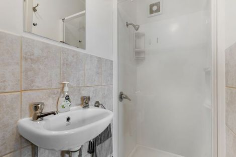 Photo of property in 62 Webster Avenue, Mount Roskill, Auckland, 1041