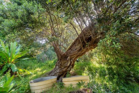 Photo of property in 16 Kawhero Drive, Kuaotunu, Whitianga, 3592