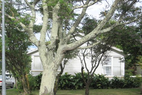 Photo of property in 20 Lyell Road, Outer Kaiti, Gisborne, 4010