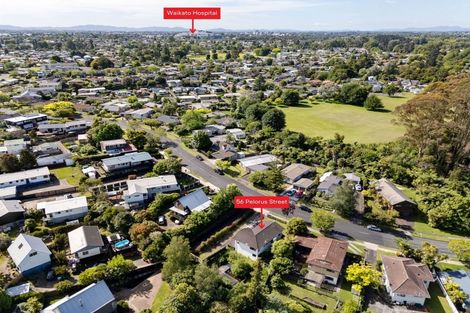 Photo of property in 56 Pelorus Street, Glenview, Hamilton, 3206