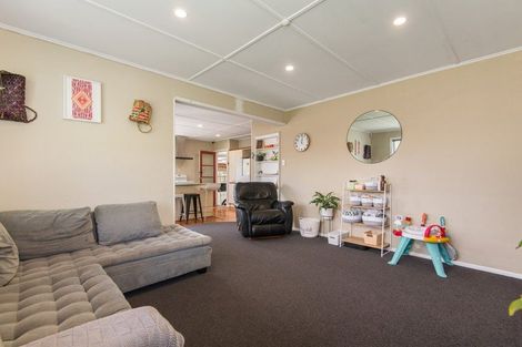 Photo of property in 24 Snowdon Avenue, Terrace End, Palmerston North, 4410