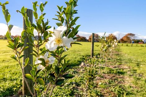 Photo of property in 35 Woven Stone Way, Ohau, 5570