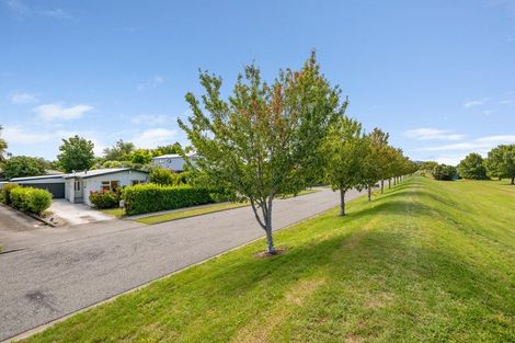 Photo of property in 14 Brook Street, Springlands, Blenheim, 7201