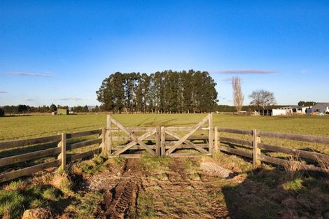 Photo of property in 101 George Street, Edendale, 9825