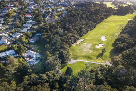 Photo of property in 44 Taupo Street, Green Bay, Auckland, 0604