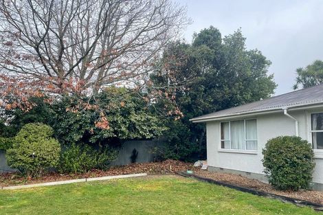 Photo of property in 53 Ford Road, Opawa, Christchurch, 8023