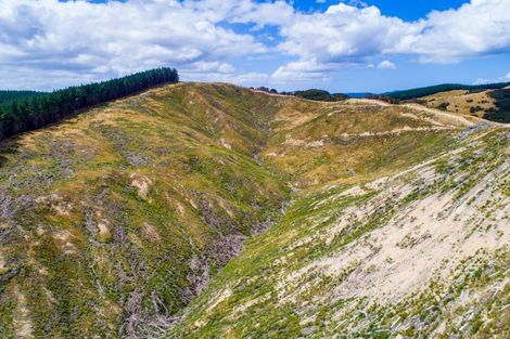 Photo of property in 3525 Masterton Castlepoint Road, Mangapakeha, Masterton, 5889