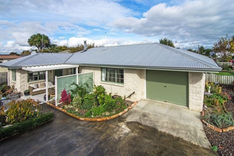 Photo of property in 52 Cambridge Terrace, Masterton, 5810