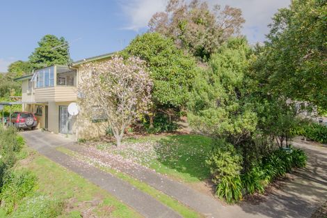 Photo of property in 28 Simkin Avenue, St Johns, Auckland, 1072