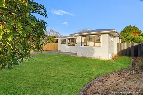 Photo of property in 45 Lewis Avenue, Aramoho, Whanganui, 4500