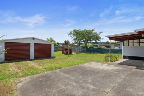 Photo of property in 29 Bledisloe Street, Levin, 5510
