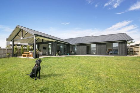 Photo of property in 75 Kaipara Portage Road, Riverhead, 0820