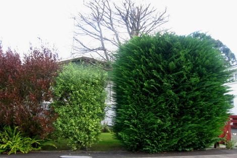 Photo of property in 76 Shamrock Street, Takaro, Palmerston North, 4412