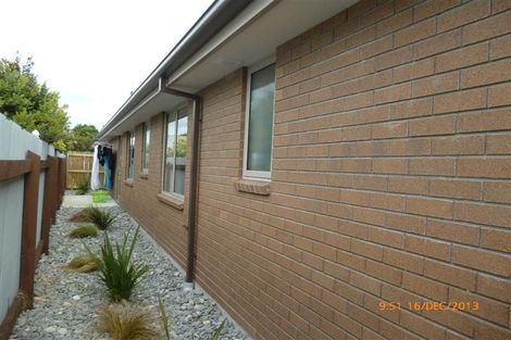 Photo of property in 13/4 Harkness Place, Westport, 7825