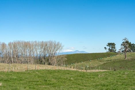 Photo of property in 317 State Highway 5, Wairakei, Taupo, 3384