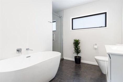 Photo of property in 21a Ngahere Street, Otumoetai, Tauranga, 3110