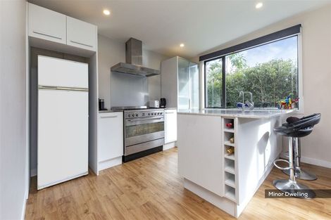 Photo of property in 44 Ellis Avenue, Mount Roskill, Auckland, 1041