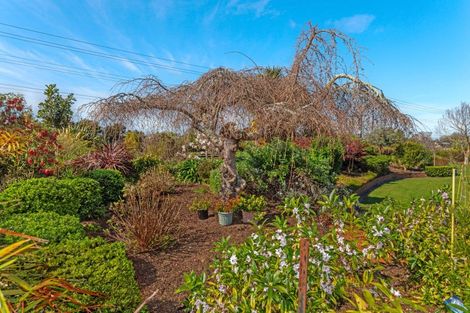 Photo of property in 26 Cameron Road, Makauri, Gisborne, 4071