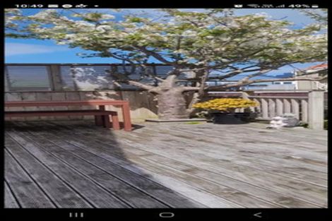 Photo of property in 102a Wexford Road, Miramar, Wellington, 6022