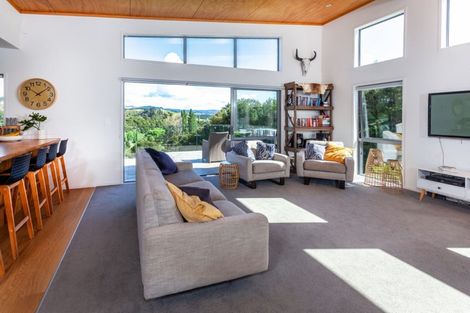 Photo of property in 113 Elsinore Close, Whangamata, 3620