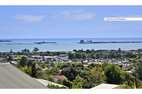 Photo of property in 16 Windleborn Place, Richmond, 7020