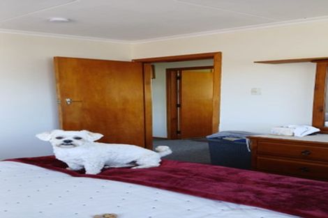 Photo of property in 42 Coal Street, Reefton, 7830