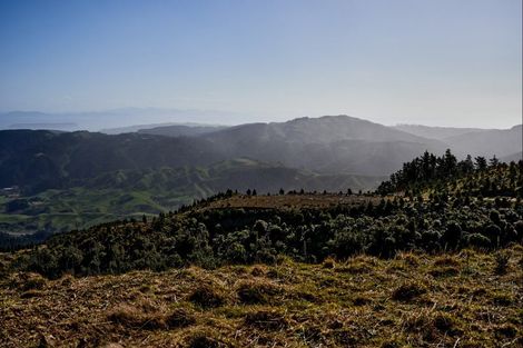 Photo of property in 850a Paekakariki Hill Road, Paekakariki Hill, Porirua, 5381