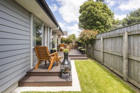 Photo of property in 31a Manson Street, Terrace End, Palmerston North, 4410