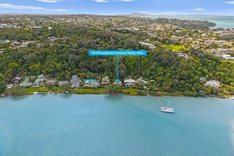 Photo of property in 59 Pohutukawa Avenue, Shelly Park, Auckland, 2014