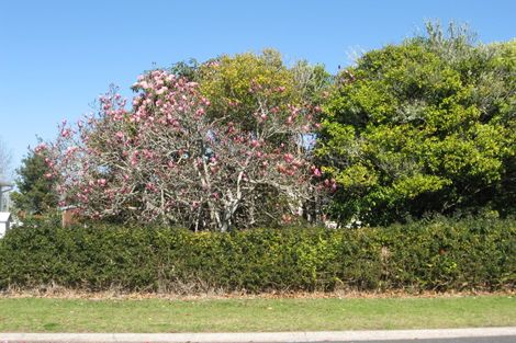 Photo of property in 36 White Street, Whitianga, 3510