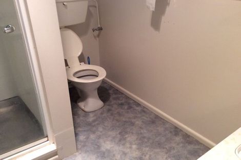 Photo of property in 3/17 Church Street, Hampstead, Ashburton, 7700