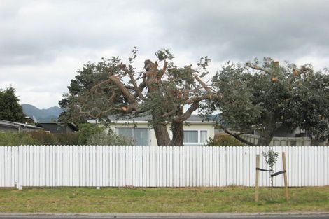 Photo of property in 225 Ocean Road, Whangamata, 3620