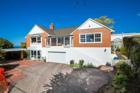 Photo of property in 3 Falcon Street, Roslyn, Dunedin, 9010