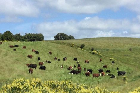 Photo of property in 310 Blackhead Road, Blackhead, Dunedin, 9076