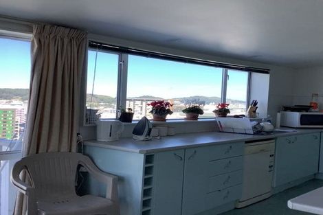 Photo of property in 223c The Terrace, Wellington Central, Wellington, 6011