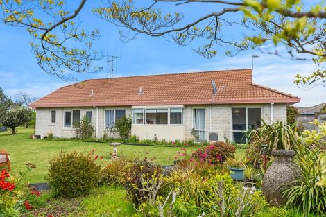 Photo of property in 18 Jasmine Place, Mount Maunganui, 3116