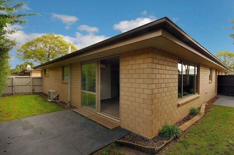 Photo of property in 48 Thackeray Place, Waltham, Christchurch, 8023