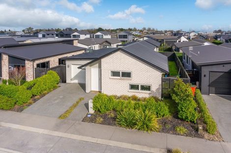 Photo of property in 15 Naismith Street, Chartwell, Hamilton, 3210