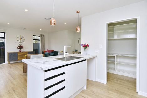 Photo of property in 256a Williams Street, Kaiapoi, 7630