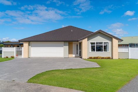 Photo of property in 14 Mervyn Brown Place, Solway, Masterton, 5810