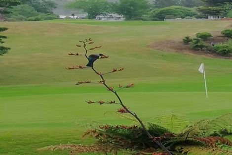 Photo of property in 68 Kinloch Road, Kinloch, Taupo, 3377