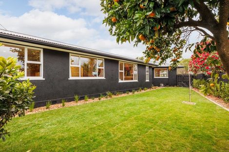 Photo of property in 23 Saint Albans Avenue, Hokowhitu, Palmerston North, 4410