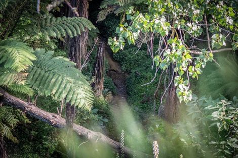 Photo of property in 111 Kingsley Street, Leamington, Cambridge, 3432