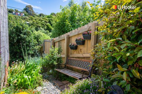 Photo of property in 144 Somerville Street, Waverley, Dunedin, 9013