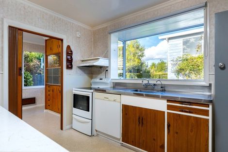 Photo of property in 51 Dillon Street, Blenheim, 7201