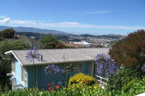 Photo of property in 47 Central Terrace, Kelburn, Wellington, 6012