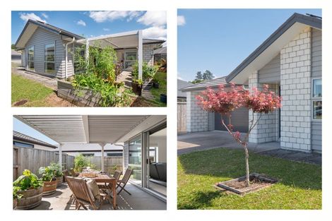 Photo of property in 123 Whakaturou Crescent, Pyes Pa, Tauranga, 3112